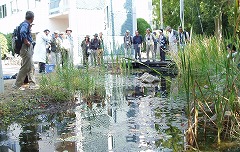 ビオトープづくり