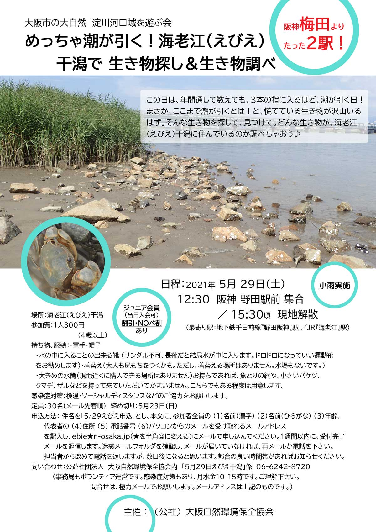 めっちゃ潮が引く！海老江（えびえ）干潟で生き物探し＆生き物調べ｜大阪自然環境保全協会