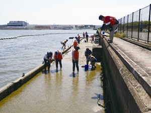 堺2区生物共生型護岸