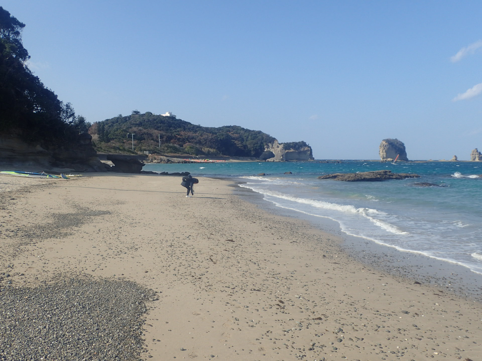 タカラガイ観察会 白浜でタカラガイを拾おう（現地集合）！＆標本箱